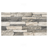 Trueliving_Sunhearrt Eureka Black Textured 600 mm x 300 mm Vitrified Elevation Tile_Price-58_Per Sq Ft.